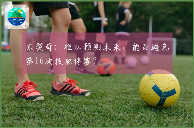 东契奇：难以预测未来，能否避免第16次技犯停赛？