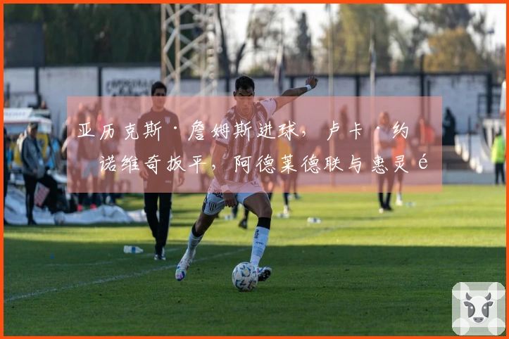 亚历克斯·詹姆斯进球，卢卡·约万诺维奇扳平，阿德莱德联与惠灵顿凤凰战成平局