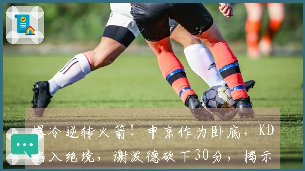 爆冷逆转火箭！申京作为卧底，KD陷入绝境，谢泼德砍下30分，揭示6个真相